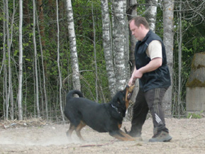 Treeenaamassa kesällä 2006